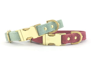 Vegan cork leather dog collars with luxury brass hardware, made in the UK