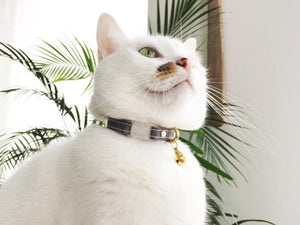 Luxury vegan cat collars, toys, harnesses and accessories