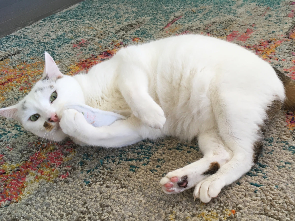 Organic Catnip Cat Toy Halloween Ghost Cat in Recycled Vegan Felt