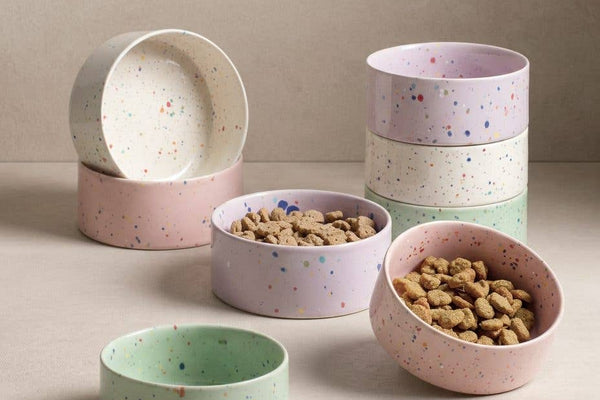 Ceramic cat bowls in speckles design for cats, kittens, small dogs and puppies.