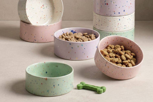 Ceramic dog bowls with speckles in white, pink, purple and green.