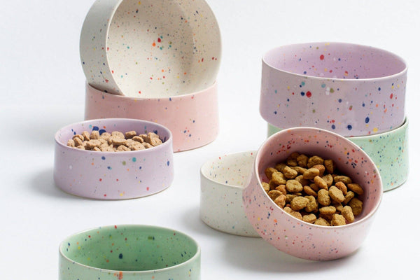 Ceramic pet bowls in white, pink, purple and green speckles.