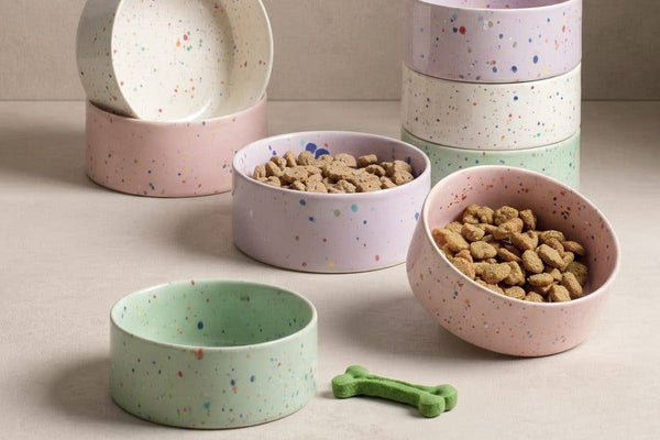 Ceramic pet bowls in white, pink, purple and green.