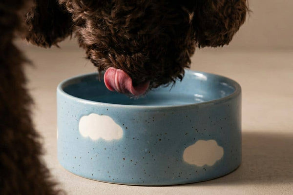 Ceramic small dog and puppy bowl in blue clouds and speckles design.