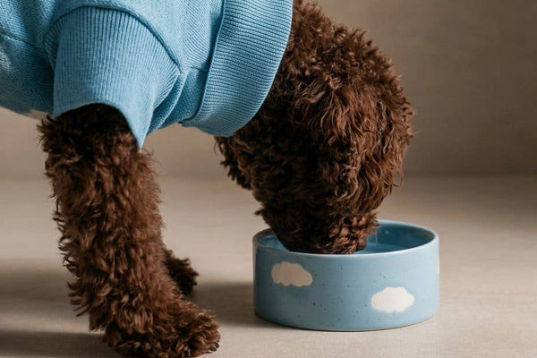 Ceramic small dog and puppy bowl handmade in blue clouds design.