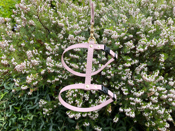 Pink cat harness made with vegan cork leather and luxury brass hardware.