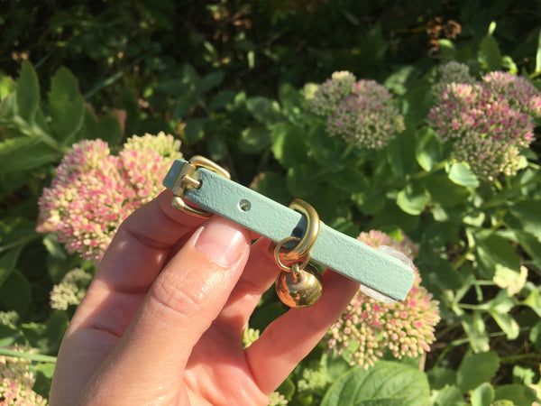 Sage Green BioThane® Cat Collar With Breakaway Safety Buckle & Bell - Brass