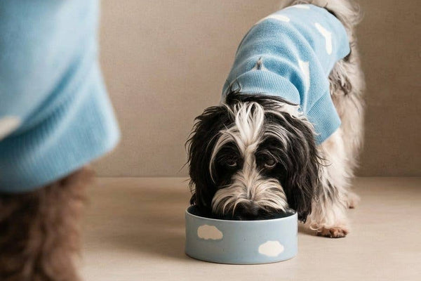Small ceramic dog and puppy bowl, blue clouds design.