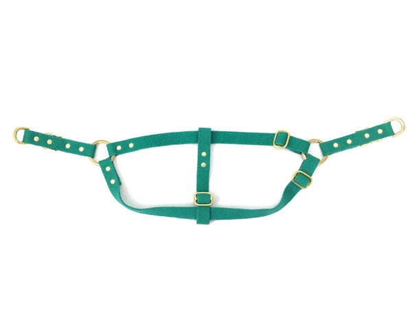 Emerald green dog harness in strong and soft cotton webbing with luxury solid brass hardware.