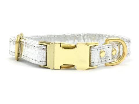 Silver Dog Collar With Brass Buckle in Piñatex Vegan Leather
