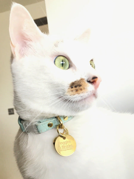Luxury green vegan cork 'leather' breakaway safety cat collar with transparent breakaway buckle and solid brass bell and engraved ID tag