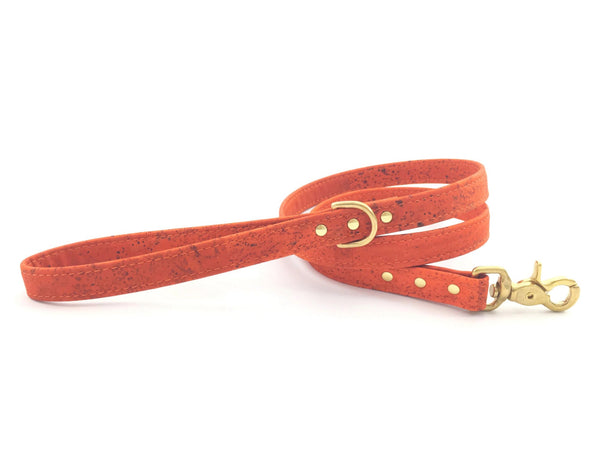Dog lead/leash in stylish burnt orange vegan cork 'leather' with solid brass hardware, by Noggins & Binkles, matching collar available